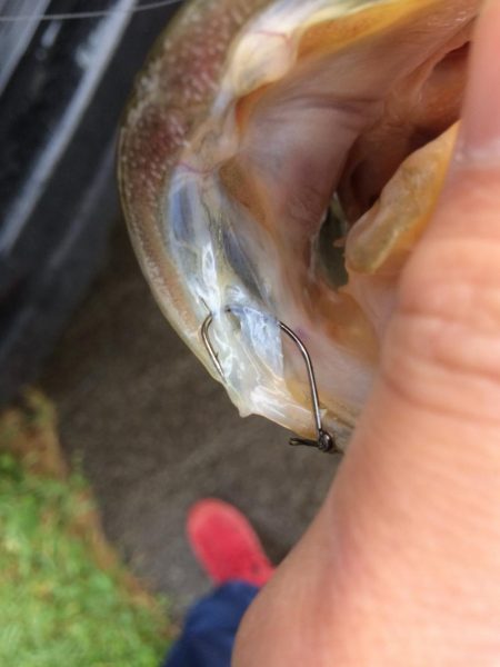 初ダウンショット