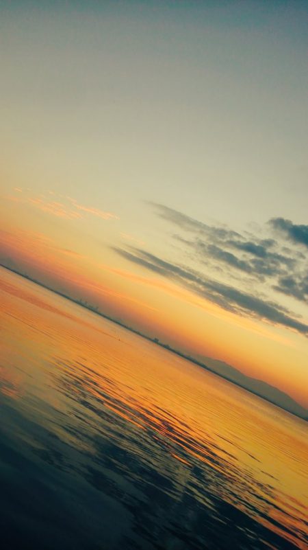 そこそこの釣果