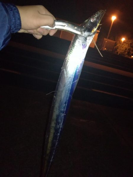 ショアジギタチウオ！