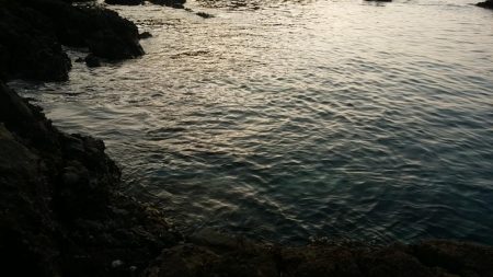 小規模磯場にて