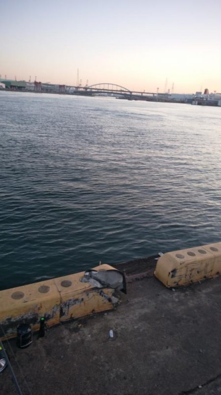 大きいサイズが少ない