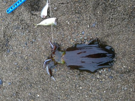 先週のリベンジ