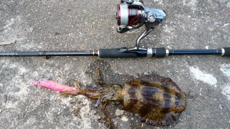 あちこちランガンで捕獲