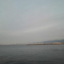 タチウオ絶好調！