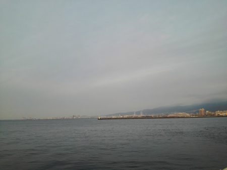 タチウオ絶好調！