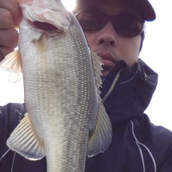 冬間近ですが青野バスは元気です。