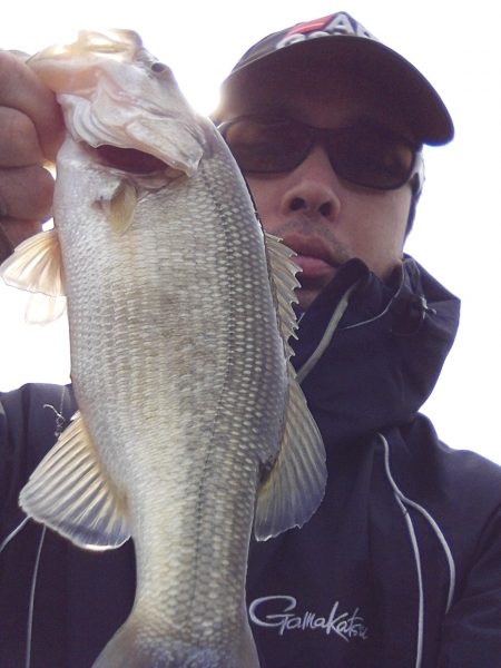 冬間近ですが青野バスは元気です。