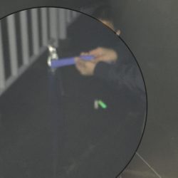 雨上がりの釣果