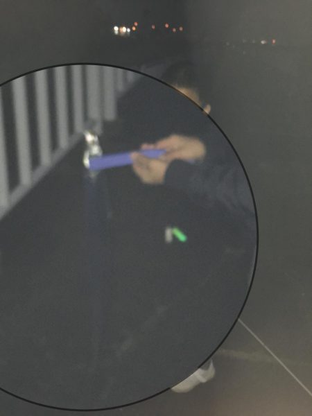 雨上がりの釣果