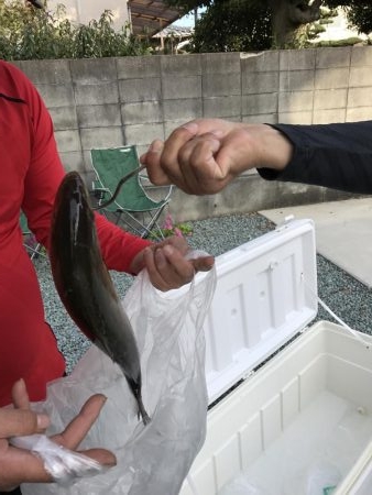 久々のショアジギ