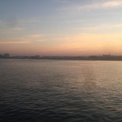 全体的にサイズアップ