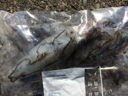 先週と同じ場所