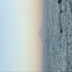 久留和港でサビキでもカマス！？