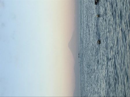 久留和港でサビキでもカマス！？