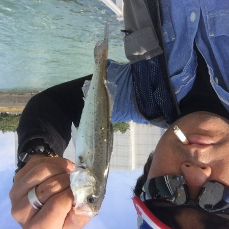 東扇島が封鎖されていたため、浮島で釣りました。