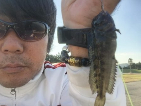 城南島へ魚釣りに行ってまいりました。