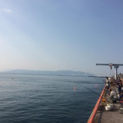 続・チャリコ祭り