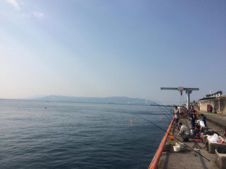 続・チャリコ祭り