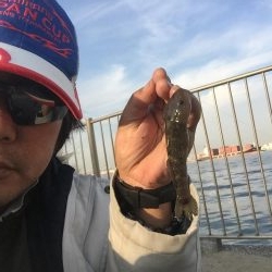 城南島で魚釣り☆