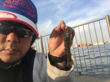 城南島で魚釣り☆