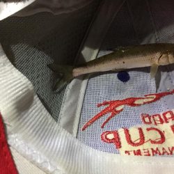 多摩川で魚釣り