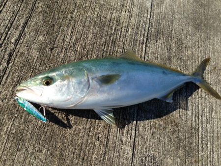 おかっぱ最高！