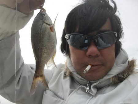 横須賀の釣り公園へ行って来ました。