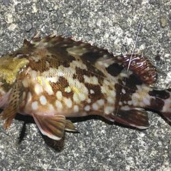 夕やけ眺め、２時間の釣り