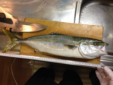 1回ぼうず挟んでハマチゲット