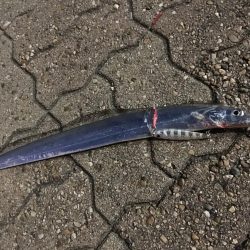 買い物の合間に