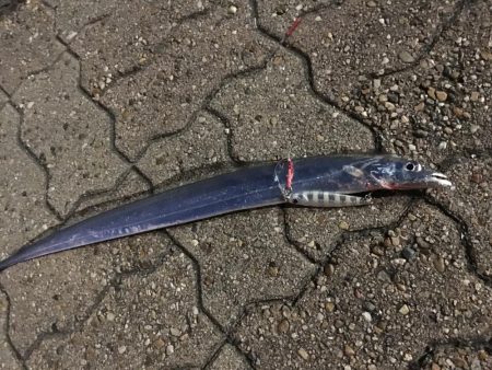 買い物の合間に