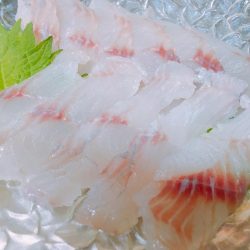 タチウオ終了のお知らせ