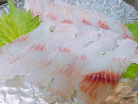 タチウオ終了のお知らせ