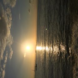 釣り堀シーユー