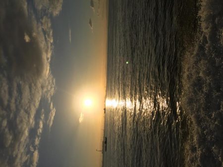 釣り堀シーユー