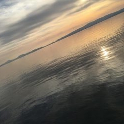 マイクロベイト攻略