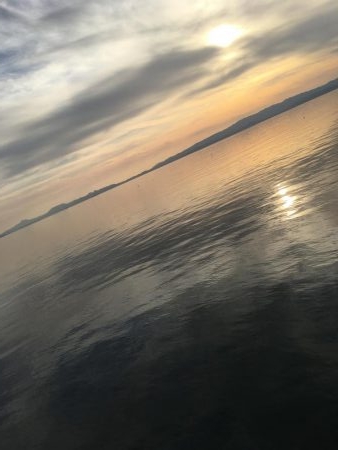 マイクロベイト攻略