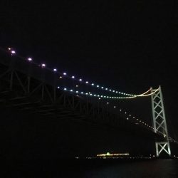 大きくなってきました