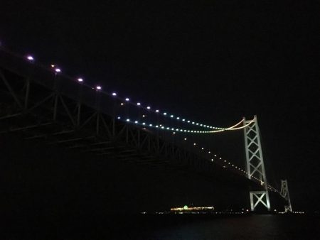 大きくなってきました