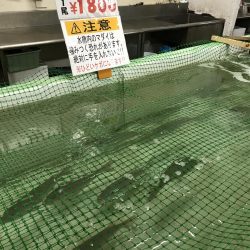 脱走兵釣れました