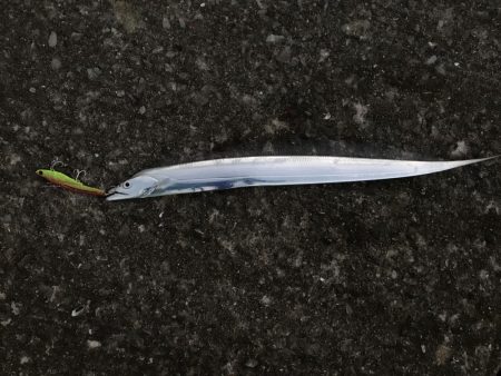 開園と同時の釣行