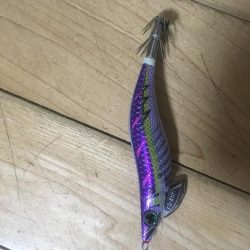 亀浦観光港の道路沿いでタコ