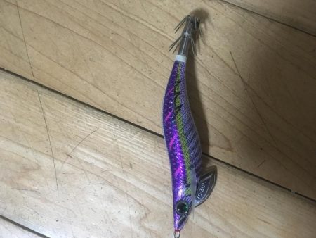 亀浦観光港の道路沿いでタコ