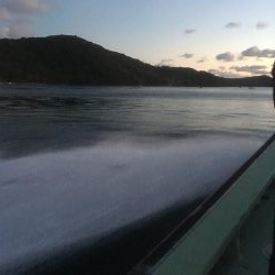 ウチノ海筏でダンゴ&ナブラ祭り