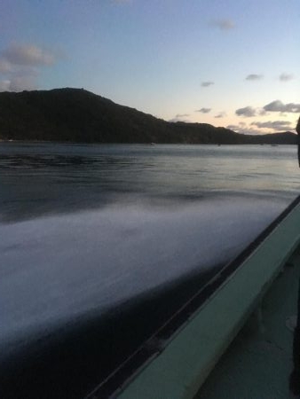 ウチノ海筏でダンゴ&ナブラ祭り