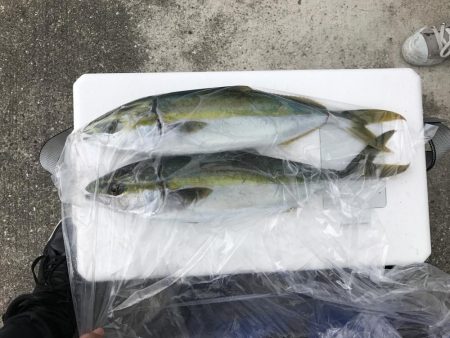 明石沖ジギング