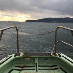 初メジロゲット!!