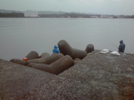 ヘダイ（20㎝）2匹のみ