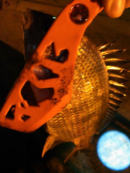 アジングですが