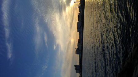 久しぶりのタチウオ！